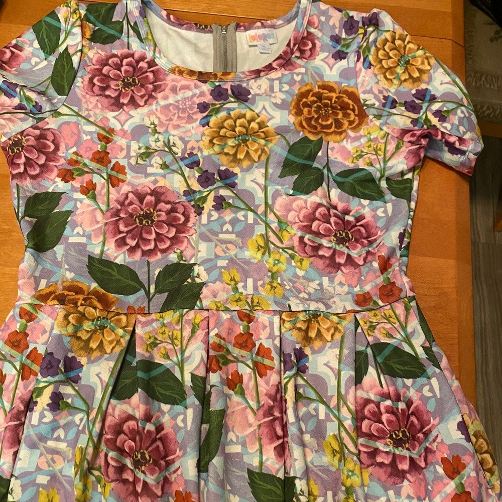 LulaRoe Dress